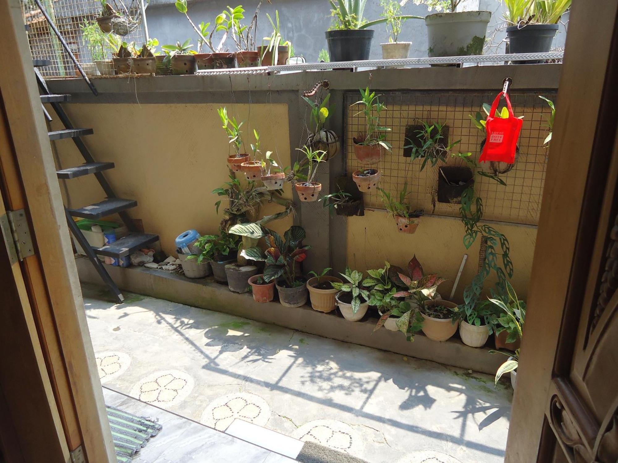 The Reinhold Guesthouse Bali Kerobokan Kültér fotó